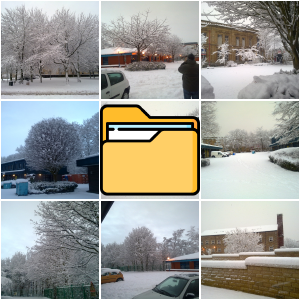 Snow! (5th January 2010)